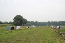 Campen Hofladen & Partyservice Aurich Zaun