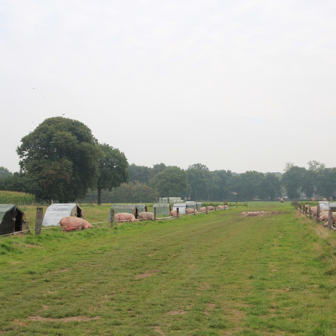 Campen Hofladen & Partyservice Aurich Zaun