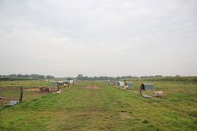 Campen Hofladen & Partyservice Aurich Freiland