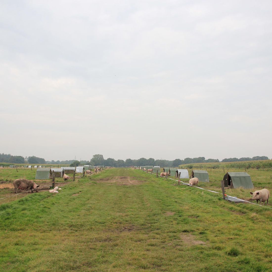 Campen Hofladen & Partyservice Aurich Freiland