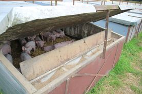 Campen Hofladen & Partyservice Aurich Schutz